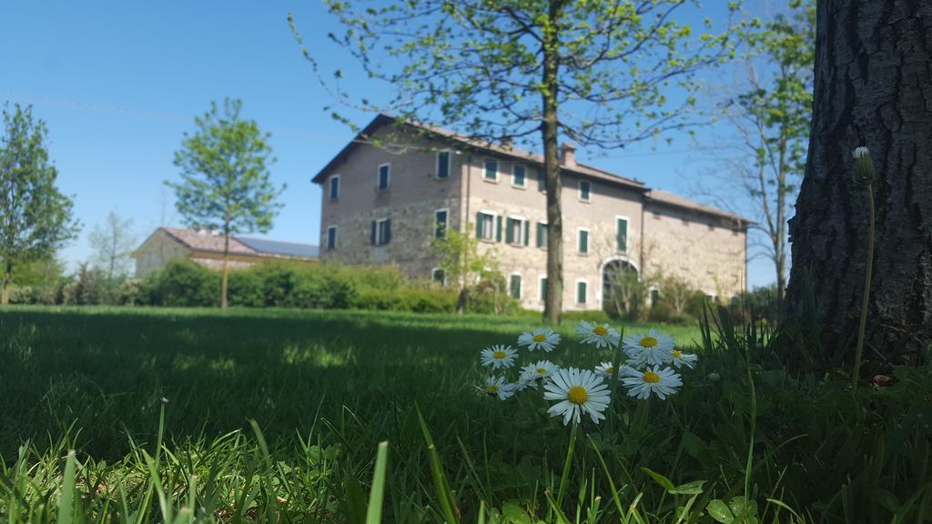 Agriturismo Il Brugnolo Scandiano Zewnętrze zdjęcie