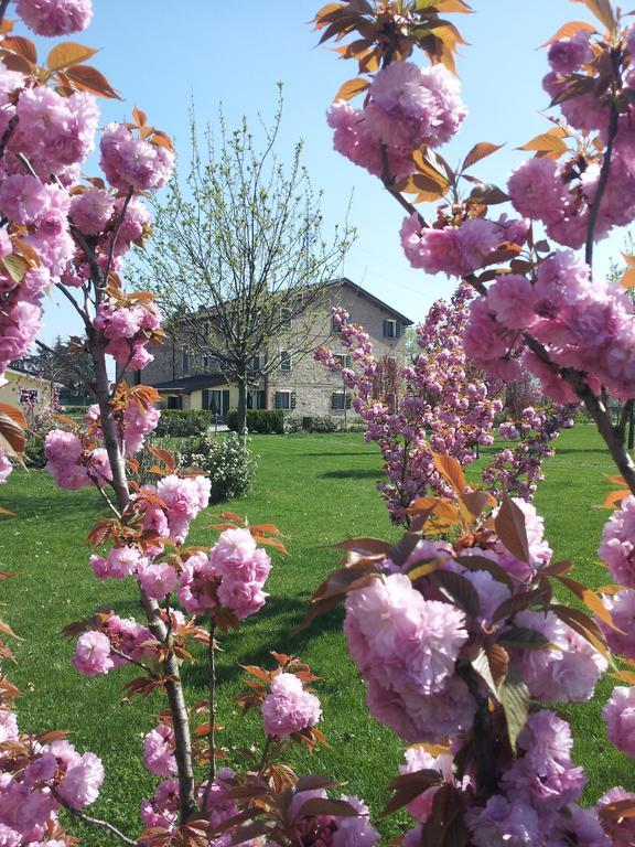 Agriturismo Il Brugnolo Scandiano Zewnętrze zdjęcie
